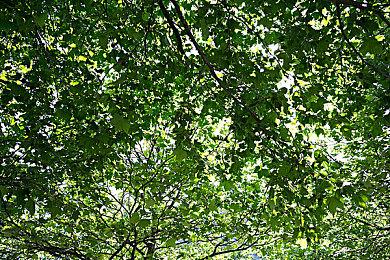 老滚5设计师：B社不能随便换引擎 因创造引擎经过完美调试